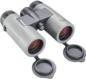 Bushnell Jumelles NITRO 10x36 WP Roof Prism