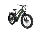 Bakcou EBIKE FLATLANDER 750w REAR HUB 25Ah, MATTE ARMY GREEN