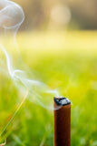 TINKS Bâtonnets fumants pour cerf Smokin' Stogies #69 Doe-in-Rut - 2/pqt