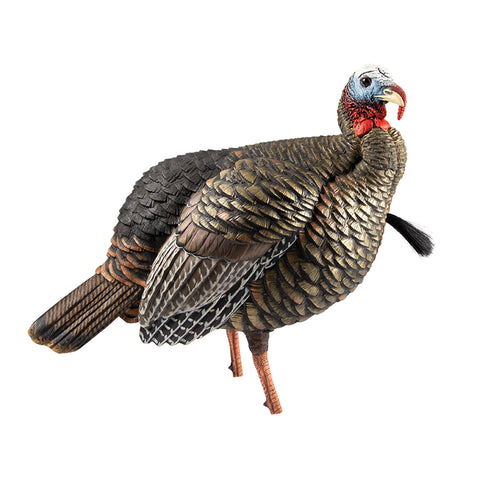 Avian X Turkey Decoy HDR Jake Quarter-Strut