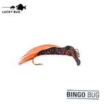 Lucky Bug BINGO BUG – ORANGE CRUSH #6