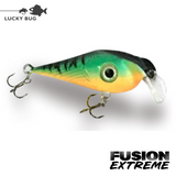 Lucky Bug Fusion EXTREME