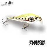 Lucky Bug Fusion EXTREME