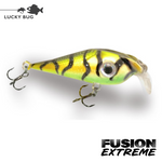 Lucky Bug Fusion EXTREME