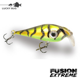 Lucky Bug Fusion EXTREME