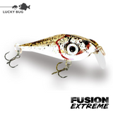 Lucky Bug Fusion EXTREME