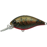 daiwa Evergreen Crankbait sur mesure custom crankbait