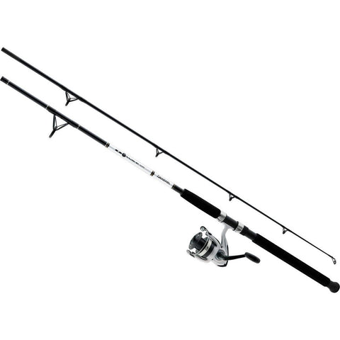 daiwa Ensemble de canne et moulinet D-Wave DWB-B rod and reel