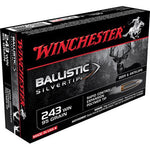 243 WIN Ballistic Silvertip, Polymer Tipped 95 Grain